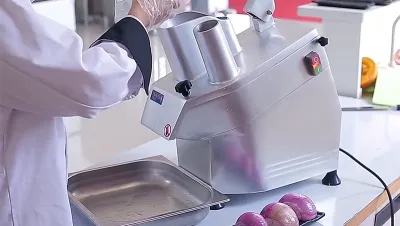 Vegetable Cutter (Onion Cutting)