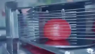 Tomato Slicer