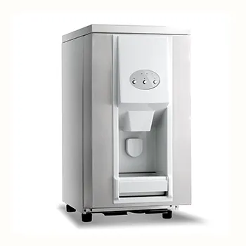 Automatic Ice Dispenser