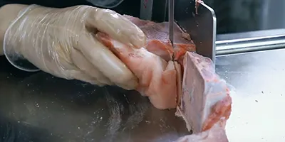 Bone Saw (Bone Bandsaws)