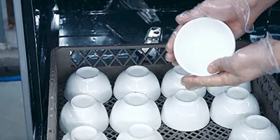 Dishwasher (Washing and Sanitizing)