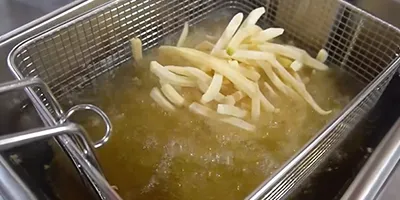 Electric Countertop Deep Fryer