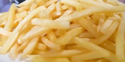 Electric Countertop Deep Fryer